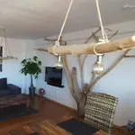 Holzmichel Mit Balkon Apartment